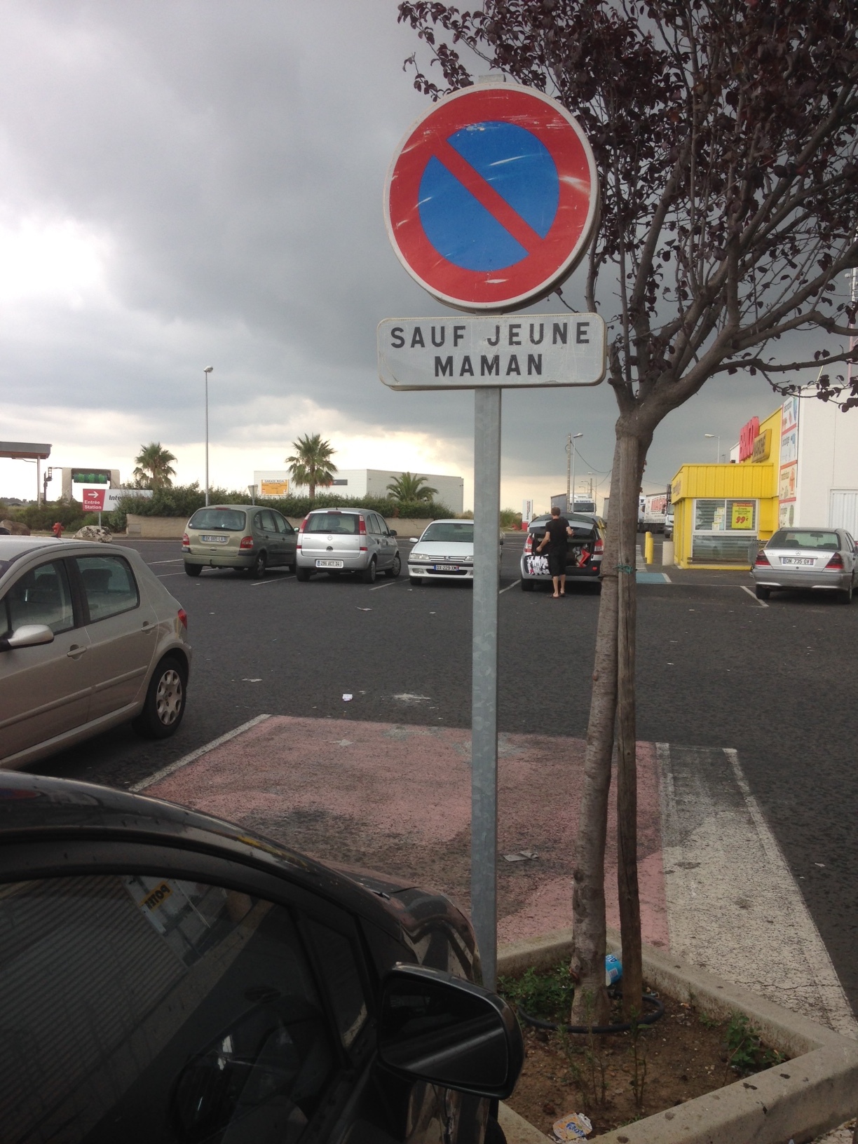 Campagne Pour La Desexuation Des Places De Parking 2016